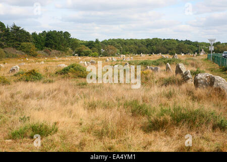 Menhir Ausrichtungen von Menec in der Nähe von Carnac Frankreich Stockfoto