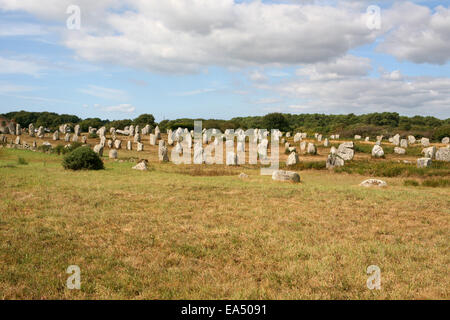 Menhir Ausrichtungen von Menec in der Nähe von Carnac Frankreich Stockfoto