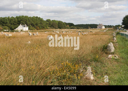 Menhir Ausrichtungen von Menec in der Nähe von Carnac Frankreich Stockfoto