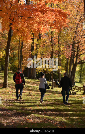 Drei Passanten umgeben Herbst Bäumen Stockfoto