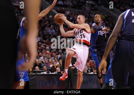 Portland, Oregon, USA. 6. November 2014. STEVE BLAKE (25) Gerichte auf dem Ball. Die Portland Trail Blazers spielen die Dallas Mavericks im Moda Center am 6. November 2014. Bildnachweis: David Blair/ZUMA Draht/Alamy Live-Nachrichten Stockfoto