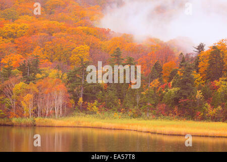 Präfektur Akita, Japan Stockfoto