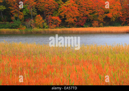 Präfektur Akita, Japan Stockfoto