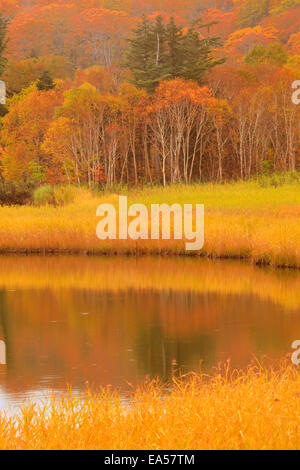 Präfektur Akita, Japan Stockfoto