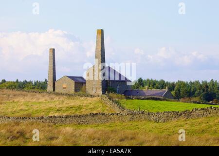 Alten Bergbau Schornsteine führen und Gebäude, Stublick Hof, Stublick Moor, Allendale Stadt, Northumberland, England, UK. Stockfoto