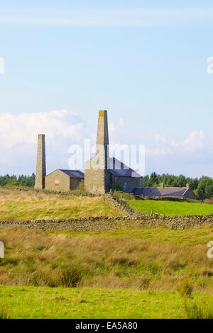 Alten Bergbau Schornsteine führen und Gebäude, Stublick Hof, Stublick Moor, Allendale Stadt, Northumberland, England, UK. Stockfoto