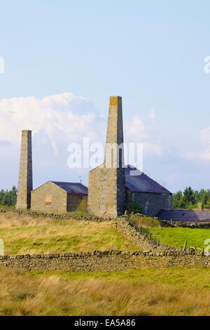 Alten Bergbau Schornsteine führen und Gebäude, Stublick Hof, Stublick Moor, Allendale Stadt, Northumberland, England, UK. Stockfoto