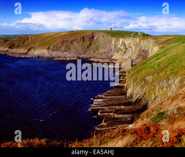 Old Head of Kinsale, Co. Cork, Irland Stockfoto