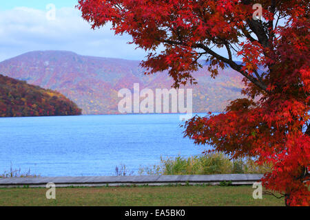 Herbst Farben, Präfektur Aomori, Japan Stockfoto