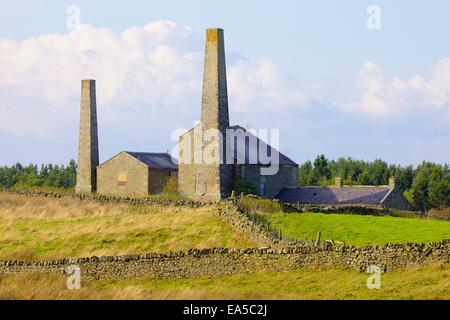 Alten Bergbau Schornsteine führen und Gebäude, Stublick Hof, Stublick Moor, Allendale Stadt, Northumberland, England, UK. Stockfoto