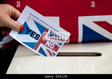 Glauben Sie, dass das Vereinigte Königreich die in der Europäischen Gemeinschaft Ja oder Nein Hand Abstimmung Slip in Weiß Wahlurne bleiben sollte. Stockfoto