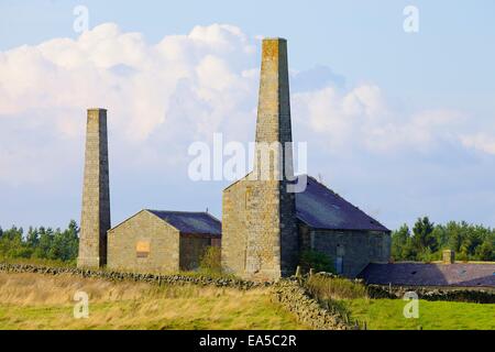 Alten Bergbau Schornsteine führen und Gebäude, Stublick Hof, Stublick Moor, Allendale Stadt, Northumberland, England, UK. Stockfoto