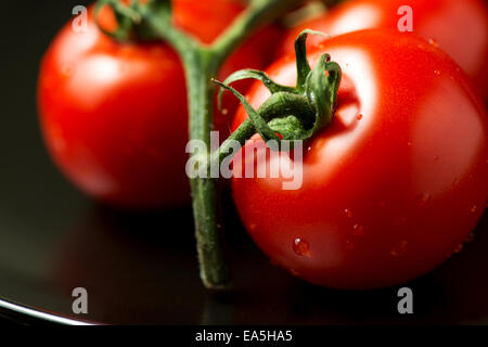 Tomaten auf Platte abgewinkelt Ansicht hautnah Stockfoto