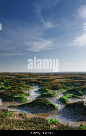 Kopte Hall Sümpfe, Essex, Kent, an sonnigen Tag mit blauem Himmel und Wolkenfetzen. Stockfoto