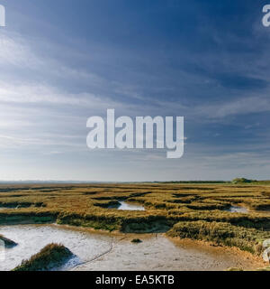 Kopte Hall Sümpfe, Essex, Kent, an sonnigen Tag mit blauem Himmel und Wolkenfetzen. Stockfoto