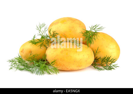 Kartoffeln mit grünen dill Stockfoto