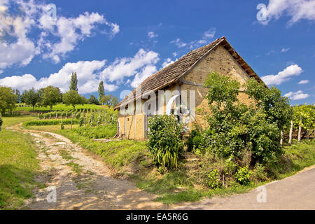 Weinberge und Schlamm gemacht cottage Stockfoto