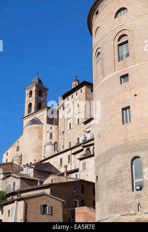 Palazzo Ducale, Urbino (UNESCO Weltkulturerbe), Le Marche, Italien Stockfoto