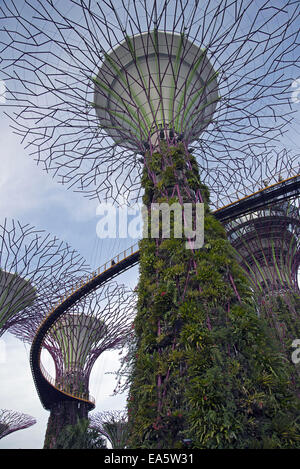 Gardens by the Bay, Singapur Stockfoto