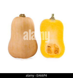 Butternut-Kürbis Stockfoto