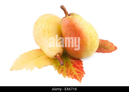 Birnen mit Herbstblatt isoliert Stockfoto