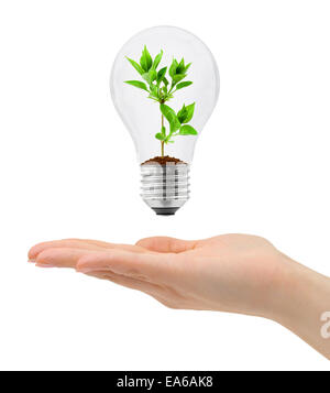 Hand und Birne mit Pflanze Stockfoto