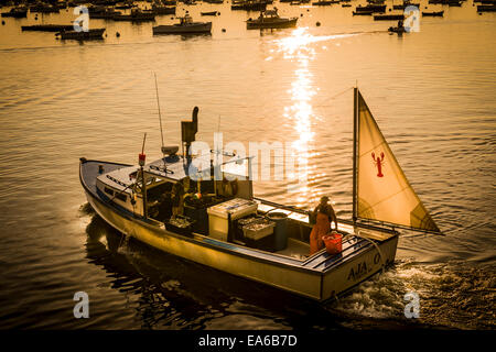 AJA-O, eines der kleinen Hummer Angelboote/Fischerboote unterwegs in den Hafen von Plymouth, Massachusetts, in der Morgendämmerung mit seinen Fang. Stockfoto