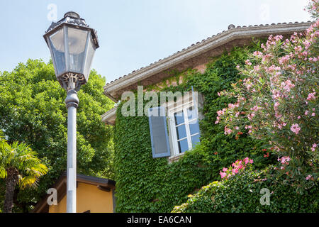 Haus mit Efeu und Blumen in Italien Stockfoto