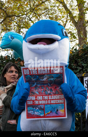 London, UK. 7. November 2014. Hunderte von Demonstranten versammeln sich gegenüber der japanischen Botschaft in London zum protest gegen die Tötung von den Säugetieren während der Delphin-Laufwerke, die jedes Jahr von September bis März in Taiji, Higashimuro District, Präfektur Wakayama, Japan statt. Bildnachweis: Pete Maclaine/Alamy Live-Nachrichten Stockfoto