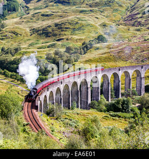 Jacobite Dampfzug durch Glenfinnan Viaduct, Highlands, Schottland, Großbritannien Stockfoto
