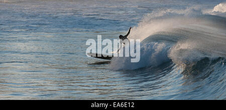 Australien, New South Wales, Sydney, Surfer nachmittags Stockfoto