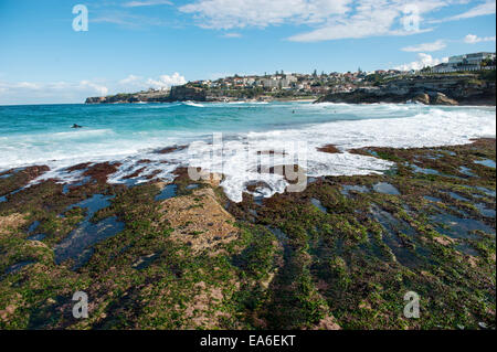 Australien, New South Wales, Sydney, Tamarama beach Stockfoto