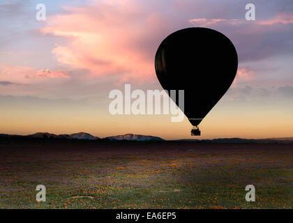 Heißluftballon am frühen Morgen Stockfoto