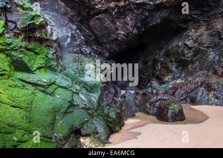 Wasserfall und Felsen am Bedruthan Schritte in Cornwall. Grüne Algen auf Felsen am Eingang zu einer Höhle. Stockfoto