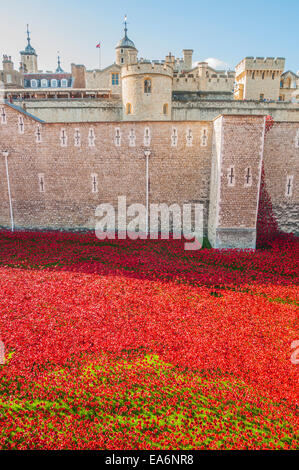 Blut fegte Länder und Meere von Rot ist eine Kunstinstallation von Paul Cummins den 100. Jahrestag des Ausbruchs des Ersten Weltkrieges phillip Roberts Stockfoto