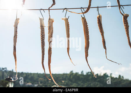 Oktopus auf Seil am Himmelshintergrund Stockfoto