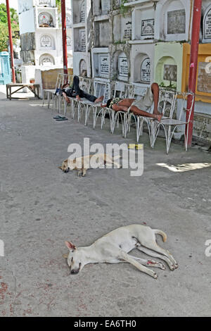 Philippinische Männer und Hunde nehmen eine Siesta am Nachmittag auf dem Friedhof unter dem Schatten der über dem Boden Krypten Stockfoto