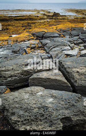 Küste bei Ebbe des Meeres erodiert Flachbett Felsen mit Seetang, Breakish, Isle Of Skye, Schottland Stockfoto