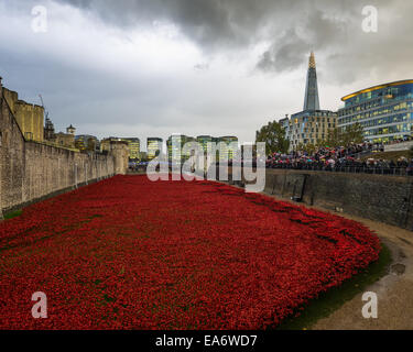 Mohn-Anzeige am Tower of London für die 2014, The Shard im Hintergrund. Stockfoto