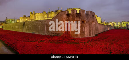 Mohn-Display an der Tower of London für 2014, zum Gedenken an den hundertsten Jahrestag des Ausbruchs des ersten Weltkriegs Stockfoto