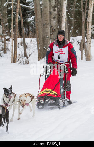 Rennen, Husky, Schnee, Wald, Hundeschlittenfahrten, Mushing Stockfoto