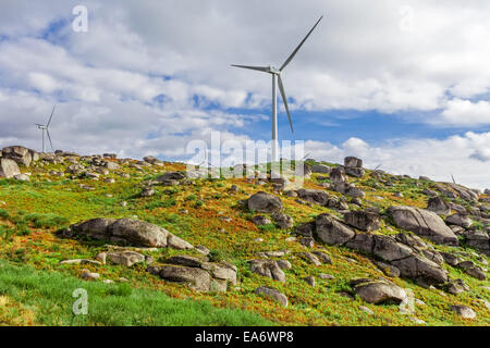 Windkraftanlagen auf einem Hügel für die Erzeugung von sauberer und erneuerbarer Energie in Terras Altas de Fafe, Portugal Stockfoto