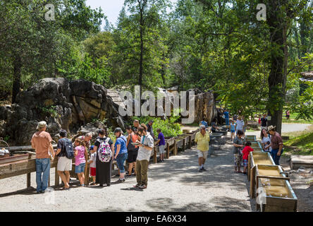 Touristen, Goldwaschen in Altgold Bergbau Stadt Columbia, Columbia State Historic Park, Tuolumne County, Kalifornien, USA Stockfoto