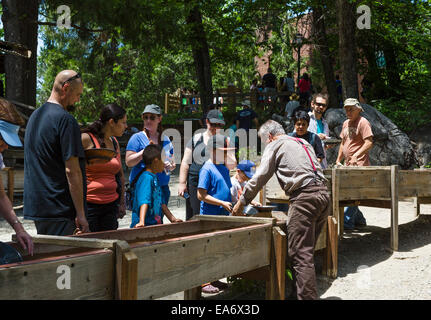 Touristen, Goldwaschen in Altgold Bergbau Stadt Columbia, Columbia State Historic Park, Tuolumne County, Kalifornien, USA Stockfoto