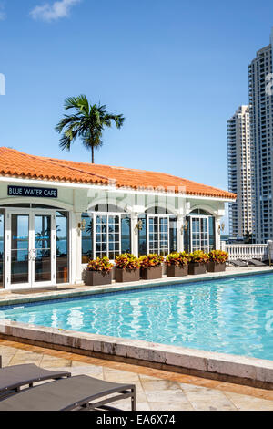 Miami Florida, Intercontinental, Hotel, Swimmingpool, Liegestühle, Blue Water Cafe, FL140808012