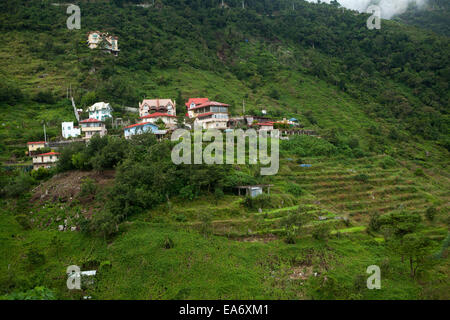 Gehobenen familiären Bauernhof an einem Berghang in Baguio City, das Obst und Gemüse zum Verkauf auf den Philippinen produziert. Stockfoto