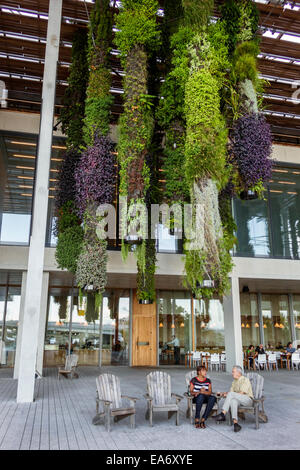 Miami Florida, Museumspark, Jorge M. Perez Art Museum Miami, PAMM, vertikaler Garten, hängende Pflanzen, FL140808048 Stockfoto