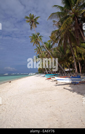 Ein langen weißen Sandstrand ist gesäumt von hohen Kokospalmen und Angelboote/Fischerboote am Alona Beach, Bohol, Philippinen. Stockfoto