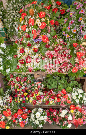 Ein Kreditor Stand gefüllt mit bunten tropischen Blumenarrangements - Anthurium, Flamingo-Blume und andere Exoten. Stockfoto