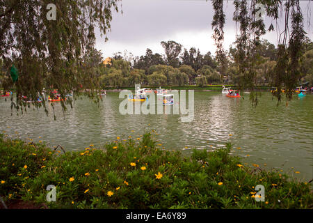 Philippinische Familien genießen Sie einen Nachmittag in Paddelboote am Burnham Park, Bagio City, Philippinen. Stockfoto